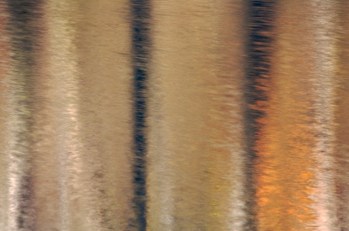 Abstract;Abstractions;Autumn;Fall;Patterns;Reflection;Reflections;Seasons;Shapes;Textures